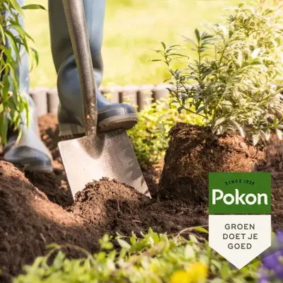 Pokon Bio Aanplantgrond Tuinplanten, Bomen & Hagen 30L - afbeelding 2