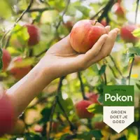 Pokon Bio Fruitbomen Mest 1kg  - afbeelding 4