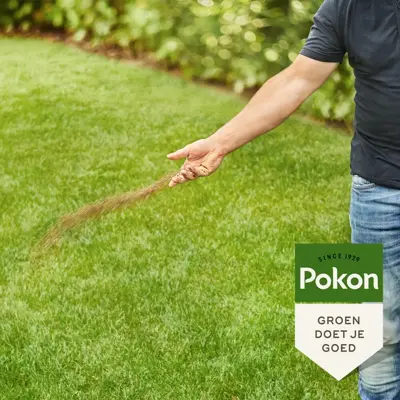 Pokon Bio Gazonmest 16,8kg voor 250m²  - afbeelding 4