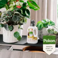 Pokon Bio Kamerplanten Voeding 500ml  - afbeelding 4