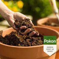 Pokon Bio Perliet 6L - afbeelding 4