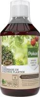 Pokon Bio Plantkuur Bladinsectgevoelige Planten Concentraat 500ml kopen?