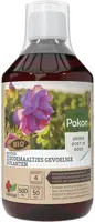 Pokon Bio Plantkuur Bodemaaltjes Gevoelige Planten Concentraat 500ml kopen?