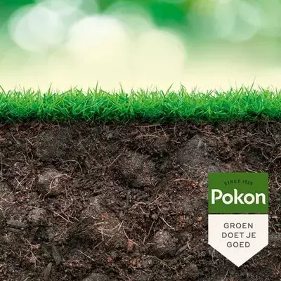 Pokon Bio Plantkuur Grasinsectgevoelige Gazons Concentraat 500ml