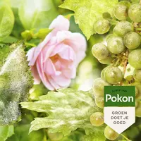 Pokon Bio Plantkuur Schimmelgevoelige Planten Spray 750ml - afbeelding 3