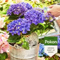 Pokon Bio Potgrond Hortensia 30L - afbeelding 3
