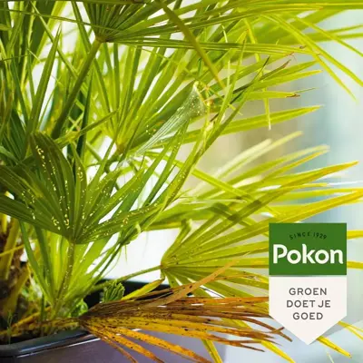 Pokon Bio Tegen Hardnekkige Insecten Polysect Spray 800ml - afbeelding 5