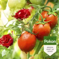 Pokon Bio Tegen Insecten Concentraat 225ml 'Polysect GYO' - afbeelding 4