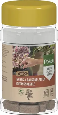 Pokon Bio Terras & Balkon Planten Voedingskegels 40 stuks - afbeelding 1