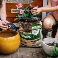 Pokon Bio Turfvrije Potgrond 45L - afbeelding 2