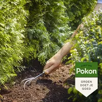 Pokon Conifeer & Taxus Mest 1kg - afbeelding 5