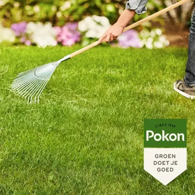 Pokon Gazonmest met Kalk 5kg voor 75m² - afbeelding 4