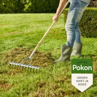 Pokon Graszaad Herstel SOS 500gr - afbeelding 4