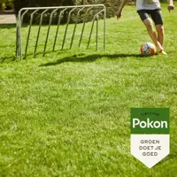 Pokon Graszaad Inzaai 500gr - afbeelding 4