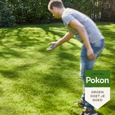 Pokon Graszaad Schaduw 250gr - afbeelding 4