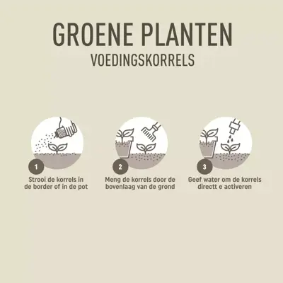 Pokon Groene Planten Voedingskorrels 800g - afbeelding 4