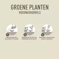 Pokon Groene Planten Voedingskorrels 800g - afbeelding 4