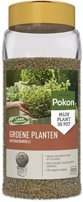 Pokon Groene Planten Voedingskorrels 800g - afbeelding 2