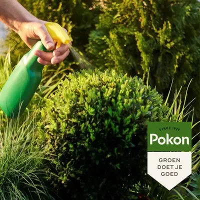 Pokon Groenhersteller 250ml - afbeelding 4