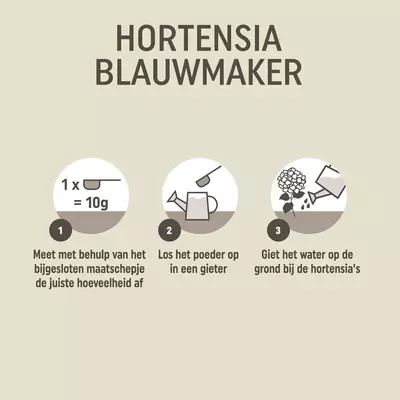 Pokon Hortensia Blauwmaker 500g - afbeelding 4