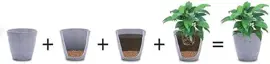 Pokon Hydrokorrels 5L - afbeelding 5
