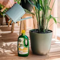 Pokon Kamerplanten Voeding 1l - afbeelding 2