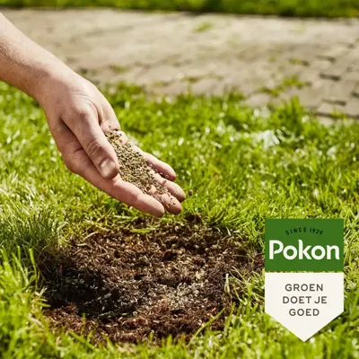 Pokon Magnesiummest 2kg  - afbeelding 2