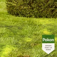 Pokon Mos Weg! 1,75kg voor 50m² - afbeelding 2