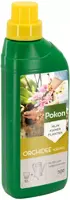 Pokon Orchidee Voeding 500ml