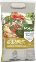 Pokon Potgrond Anthurium 5L - afbeelding 2