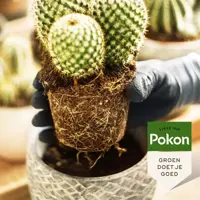 Pokon Potgrond Cactus 5L - afbeelding 4