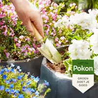 Pokon Potgrond Terras & Balkon Planten 20L - afbeelding 4