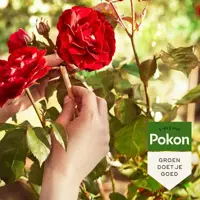 Pokon Rozen Mest 1kg - afbeelding 4