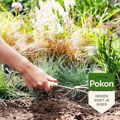 Pokon Stikstofmest 2kg - afbeelding 2