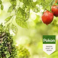 Pokon Tegen hardnekkige Insecten Concentraat 250ml - afbeelding 2