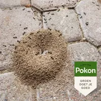 Pokon Tegen Mieren Korrels 250gr - afbeelding 5