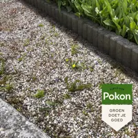 Pokon Tegen Onkruid Concentraat 225ml - afbeelding 5