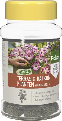 Pokon Terras & Balkon Planten Voedingskegels 40 stuks - afbeelding 2