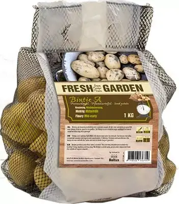 Pootaardappel bintje 1 kg - afbeelding 2