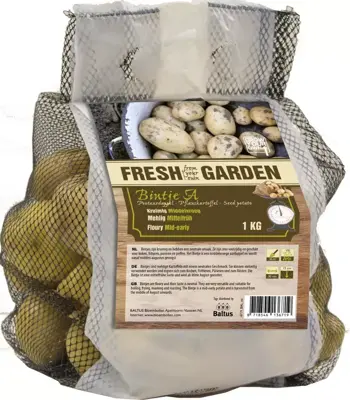 Pootaardappel bintje 1 kg - afbeelding 1