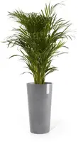 Pot amsterdam high d76cm grijs - afbeelding 5