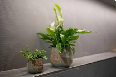 Pot Jelmer Ø12x11 cm Mint - afbeelding 2