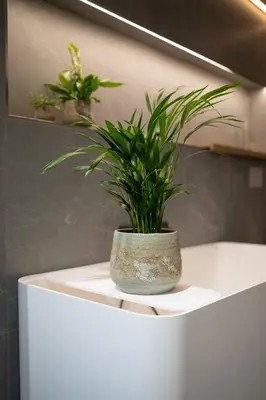 Pot Jelmer Ø12x11 cm Mint - afbeelding 3