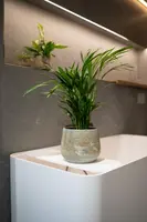 Pot Jelmer Ø12x11 cm Mint - afbeelding 3