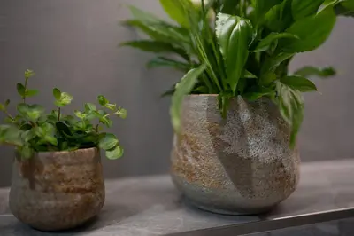 Pot Jelmer Ø16x14 cm – Mint - afbeelding 2