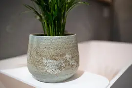 Pot Jelmer Mint Ø15x12 cm - afbeelding 3