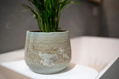 Pot Jelmer Mint Ø20×17 cm - afbeelding 3