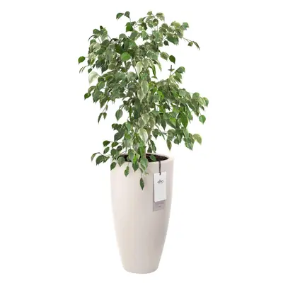 Pot pc june round d30h53cm linnenwt - afbeelding 2