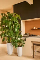 Pot pc june round d30h53cm linnenwt - afbeelding 3