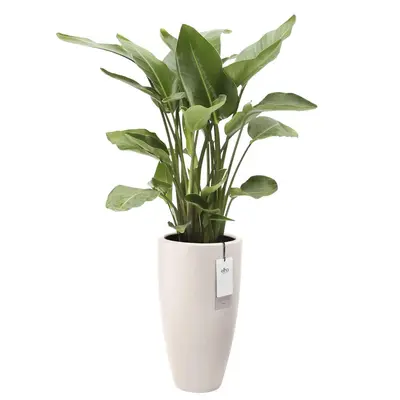 Pot pc june round d40h70cm linnenwt - afbeelding 2